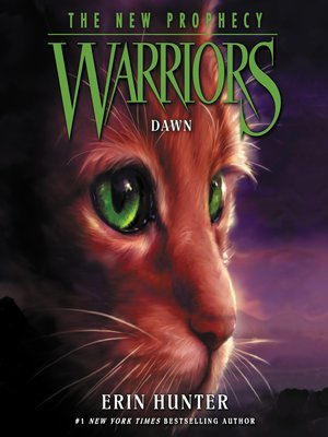 cover image of Dawn